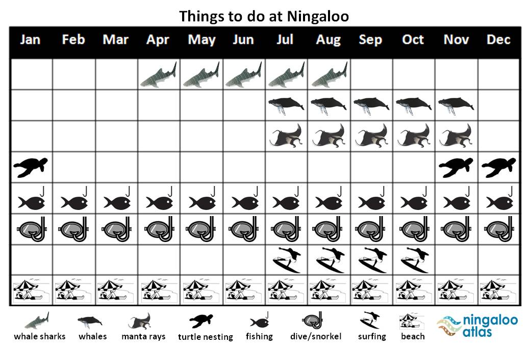 Things to do at Ningaloo